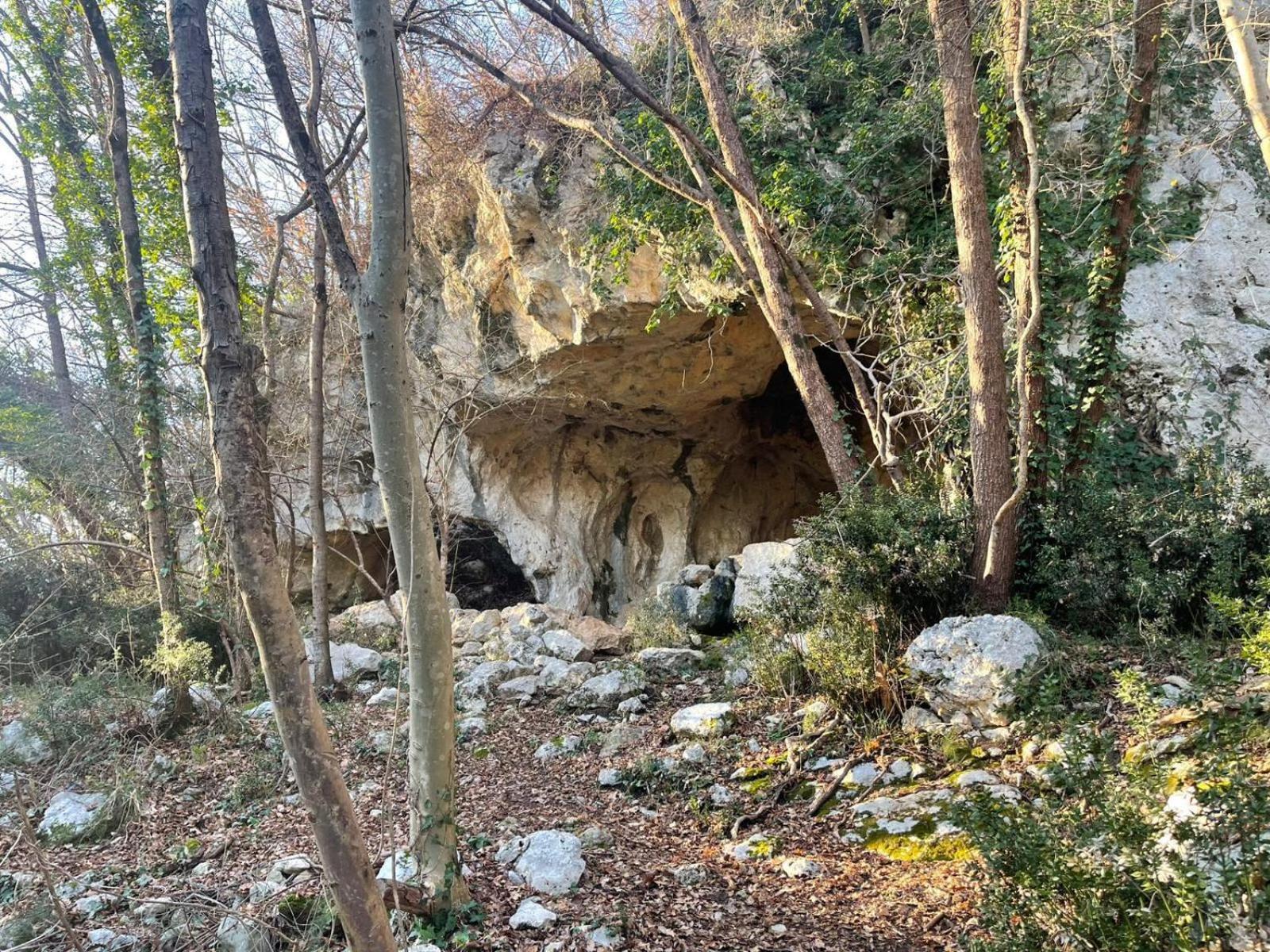 La Torretta - Incantevole Appartamento Nei Colli Berici Nanto Exterior foto